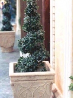 Spiral