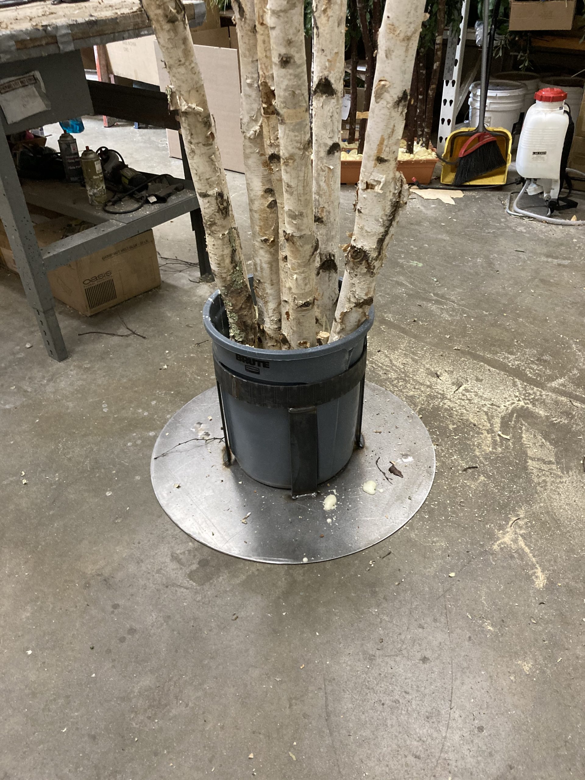 artificial potted birch trees