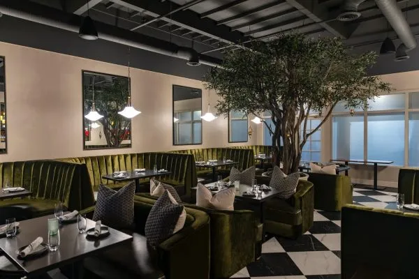 A Custom Mediterranean Olive Tree for Cork Dork’s Dining Room