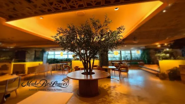 Custom Mediterranean Olive Tree for Katsuya Century City